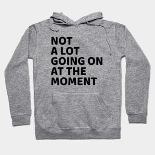 NOT A LOT GOING ON AT THE MOMENT Hoodie